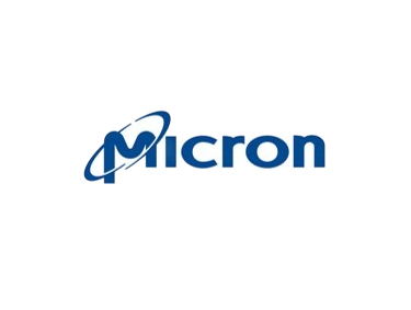 micron